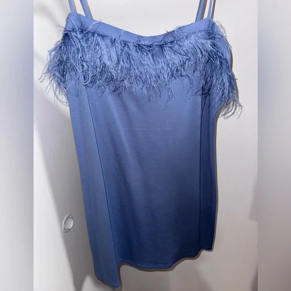 Blue Feather Trim Dress - Picture 1 of 2